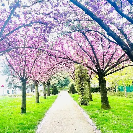 Private In A Tiny 4 Min Drive To Airport Cdg ,1 Private Bathroom Ideal For Families And Friends בית אירוח